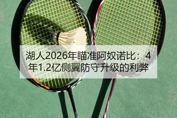 湖人2026年瞄准阿奴诺比：4年1.2亿侧翼防守升级的利弊